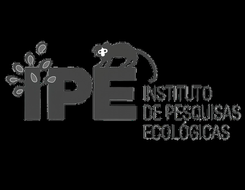 IPE